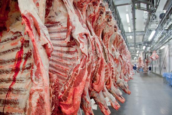 Operação da Polícia Federal fiscaliza qualidade da carne vendida no Brasil