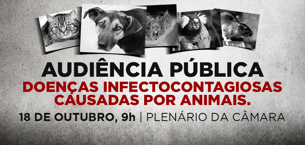 Audiência Pública irá discutir Doenças Infectocontagiosas transmitidas por animais em Camaçari