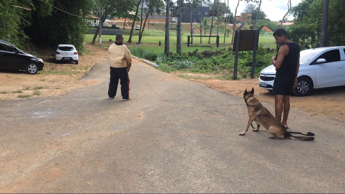 Policiais treinam com cães para captura de traficantes em Pojuca