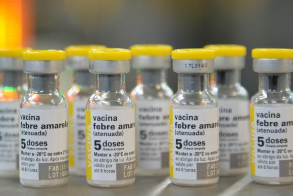 Brasil registrou 83 casos de febre amarela e 28 mortes em uma semana