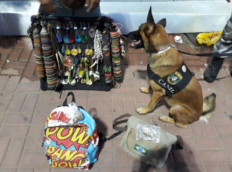 Carnaval: cadela encontra drogas com dois ambulantes durante a folia em Salvador