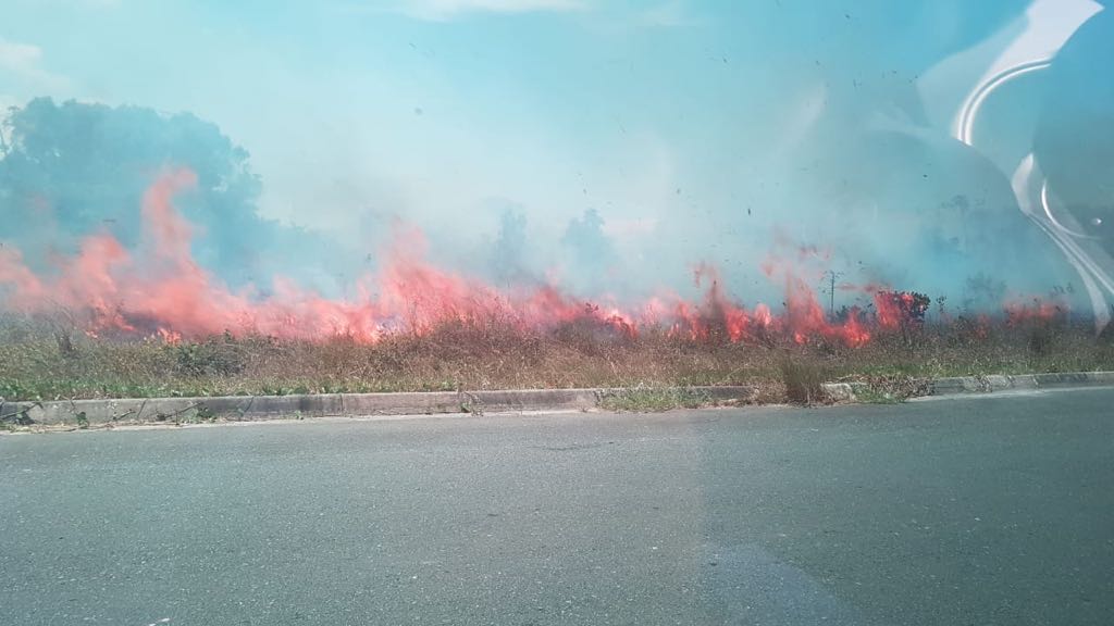 Incêndio consome grande área de vegetação nesta quarta (14) em Camaçari