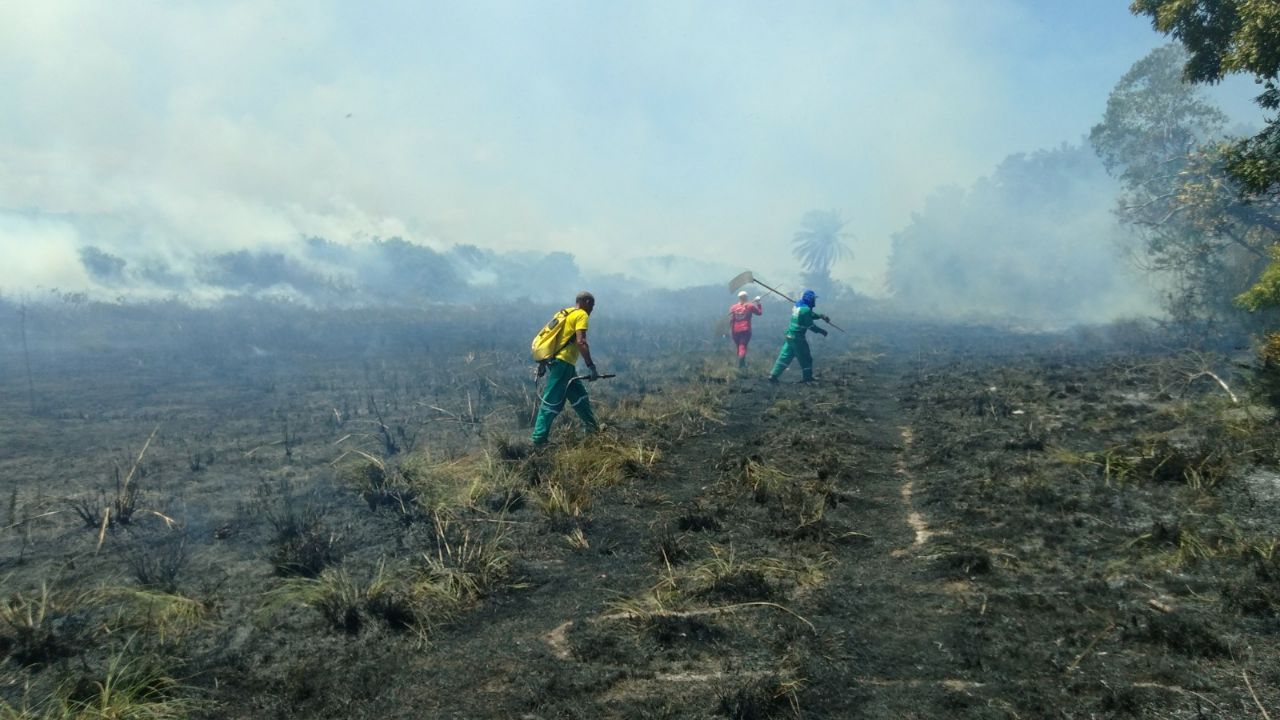 Incêndio atinge área de vegetação nesta tarde (16) em Camaçari