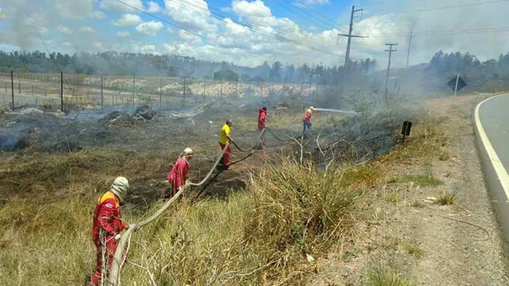 Incêndio atinge vegetação nas marges da Estrada da Cetrel neste domingo (18)
