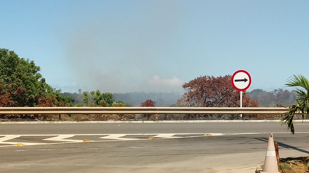 Incêndio atinge área de vegetação em Camaçari