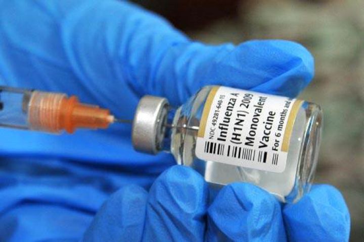 Ministério da Saúde desmente boato sobre vírus H2N3 no Brasil