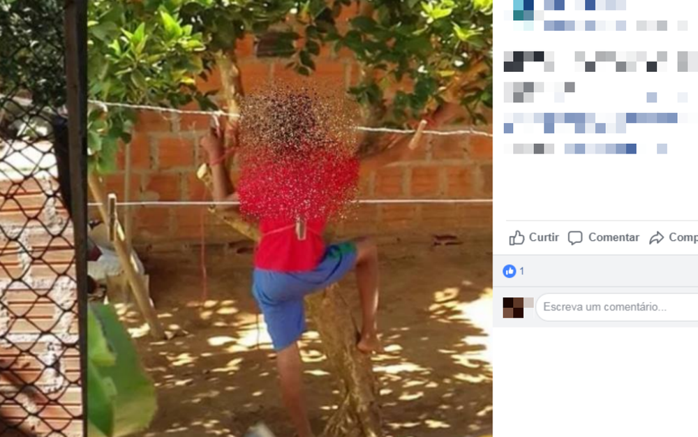 Mulher é presa após amarrar filho de 12 anos em árvore