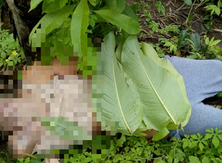 Corpo de mulher é encontrado atrás de uma fábrica em Simões Filho