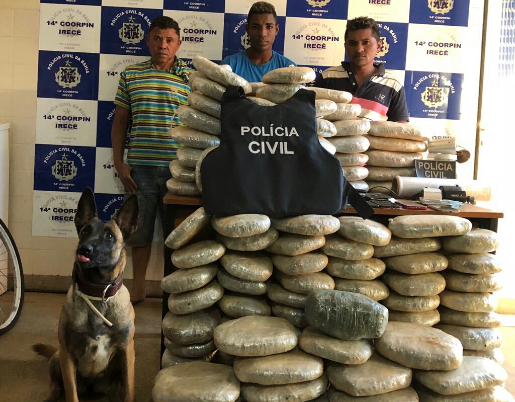 Polícia Civil localiza 132 kg de maconha enterrados