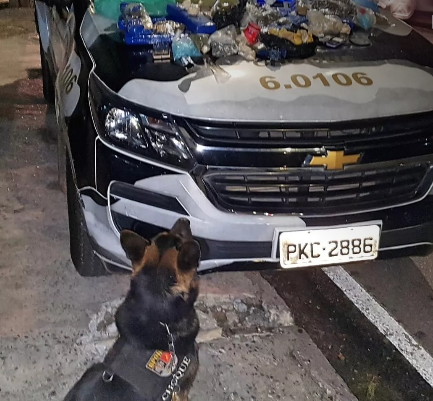 Cão farejador encontra 30 kg de drogas dentro de casa em Salvador