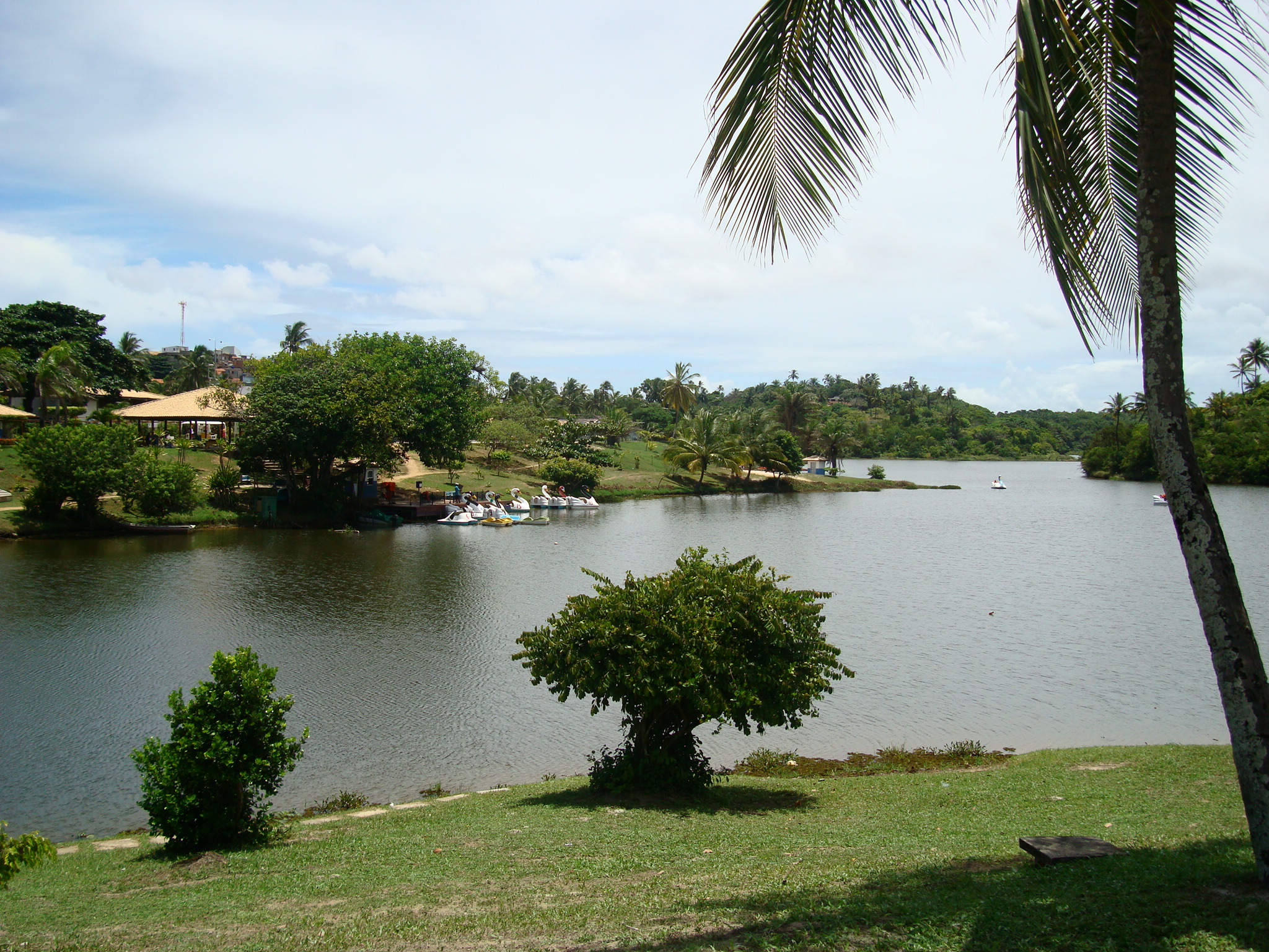 Corpo é encontrado dentro de lagoa no Parque de Pituaçu em Salvador