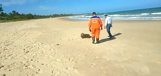 Vídeo: caixa misteriosa é encontrada na praia em Camaçari
