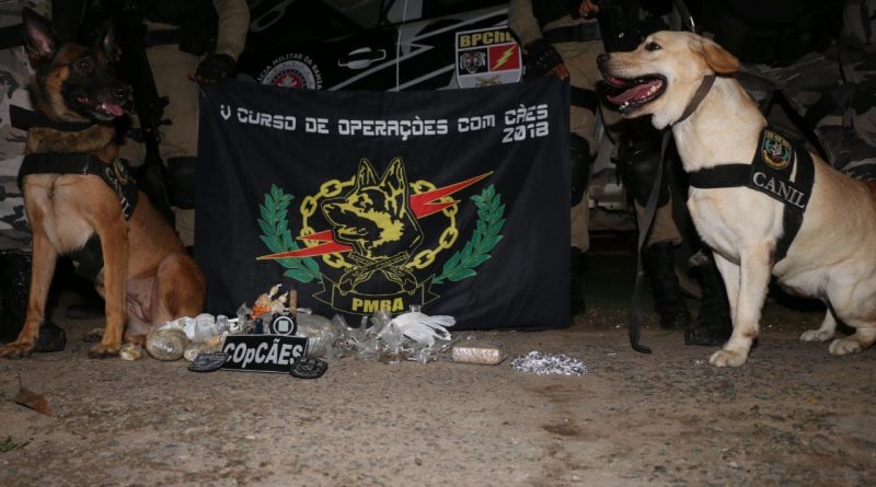 Batalhão de Choque localiza ponto de tráfico durante operação com cães em Itapuã