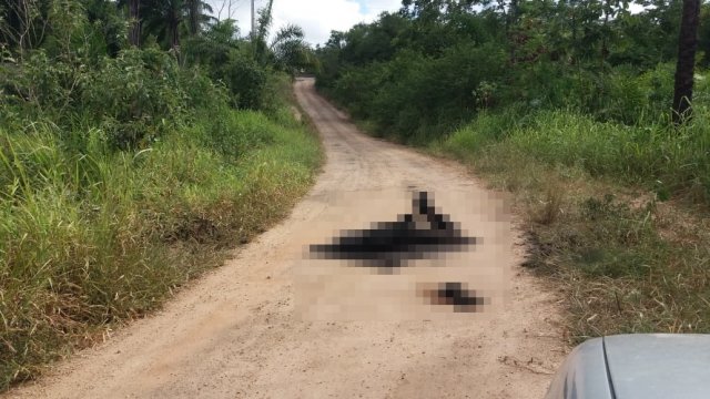 Corpo carbonizado é encontrado em estrada na Bahia