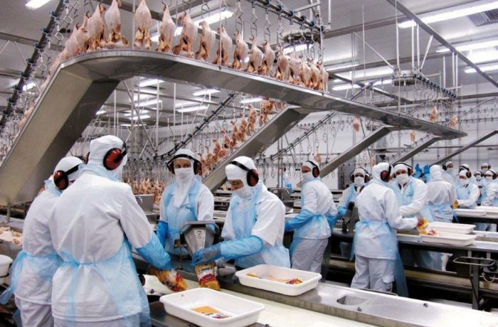 Arábia Saudita barra importação de frango de 5 frigoríficos brasileiros