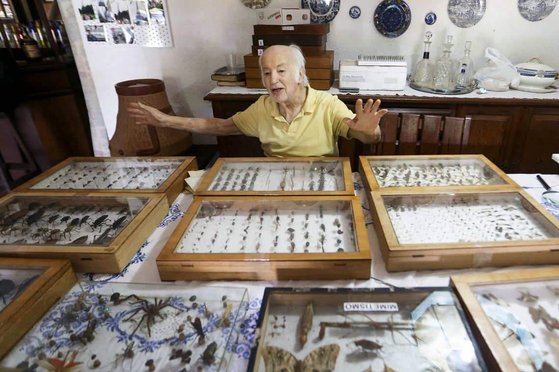 Colecionador brasiliense doa 2 mil insetos ao Museu Nacional do Rio