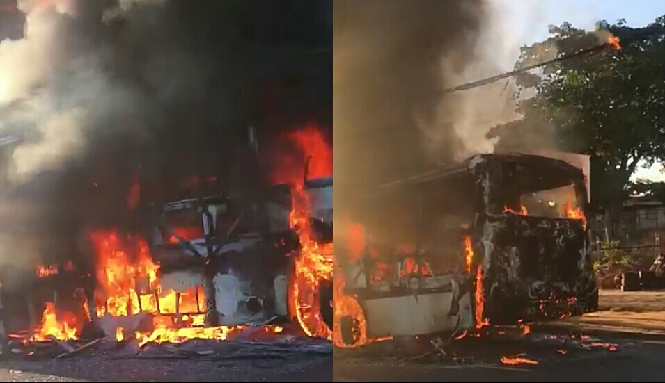 Vídeo: ônibus pega fogo e vias da Av.Paralela são interditadas nesta terça