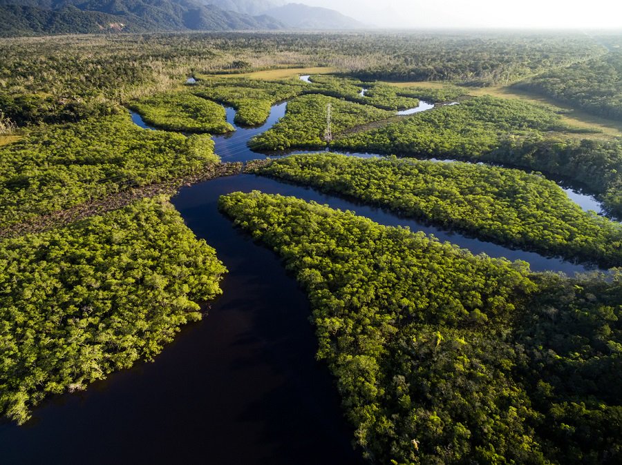 No ‘Dia da Amazônia’ estudo revela que a floresta já perdeu até metade da capacidade de reciclar água