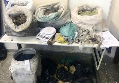 Ação da PM e PC localiza 60 kg de maconha enterrados em Vila de Abrantes