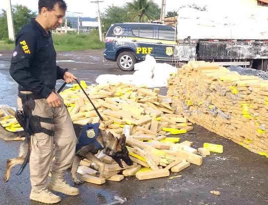 Caminhão com mais de três toneladas de maconha é apreendido em Feira de Santana