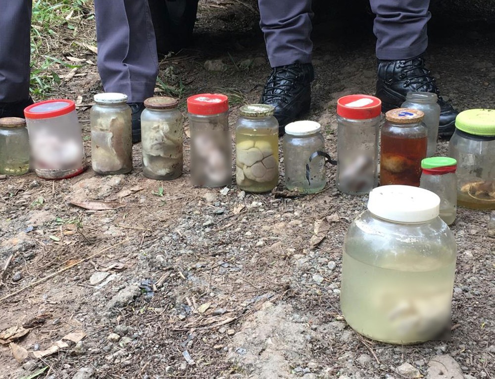 Mais de 20 frascos com fetos e órgãos humanos são encontrados em terreno abandonado