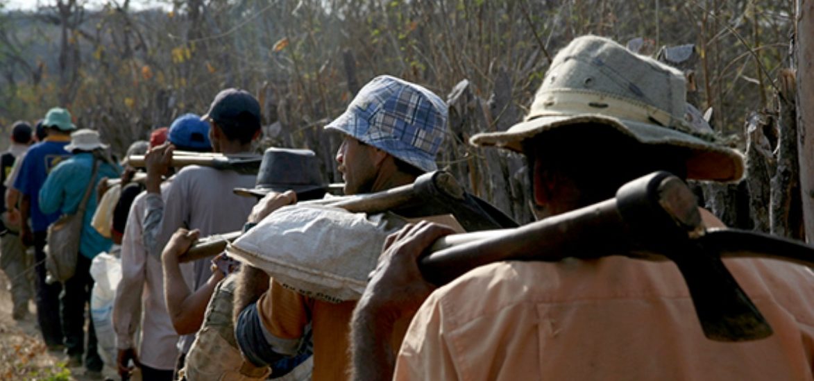 Trabalhadores rurais em condições análogas à escravidão são resgatados no sul do estado