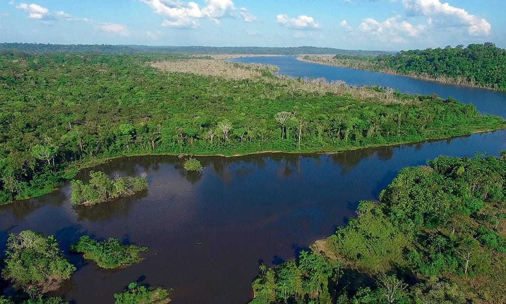 Ministério alemão anuncia suspensão de investimento de R$ 155 milhões na Amazônia