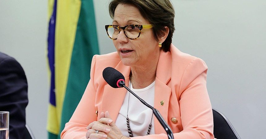 Ministra da Agricultura afirma que ‘setor de couros do Brasil é sustentável’