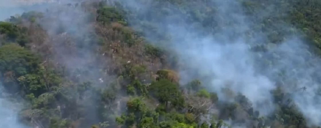 Incêndios na Amazônia: G7 anuncia liberação de R$ 91 milhões