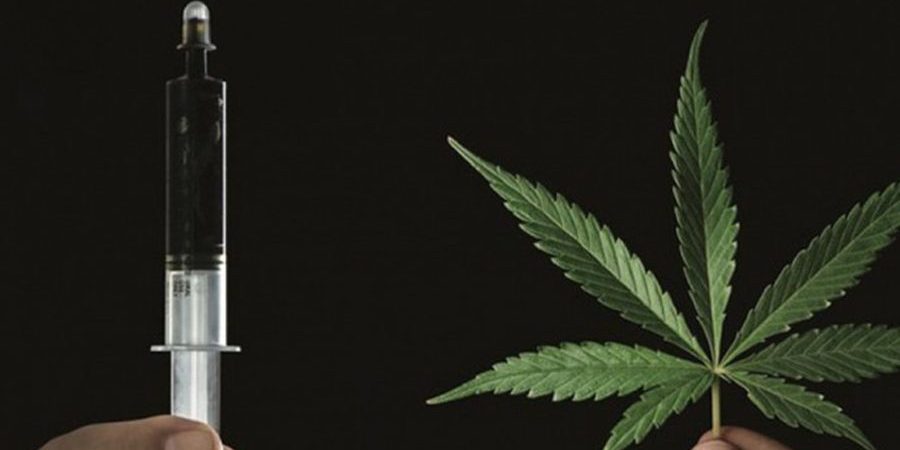 Senado considera sugestão popular que libera uso medicinal da cannabis