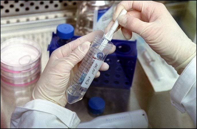 Após explosão de gás, laboratório russo que armazenava vírus da varíola, Ebola e HIV é atingido