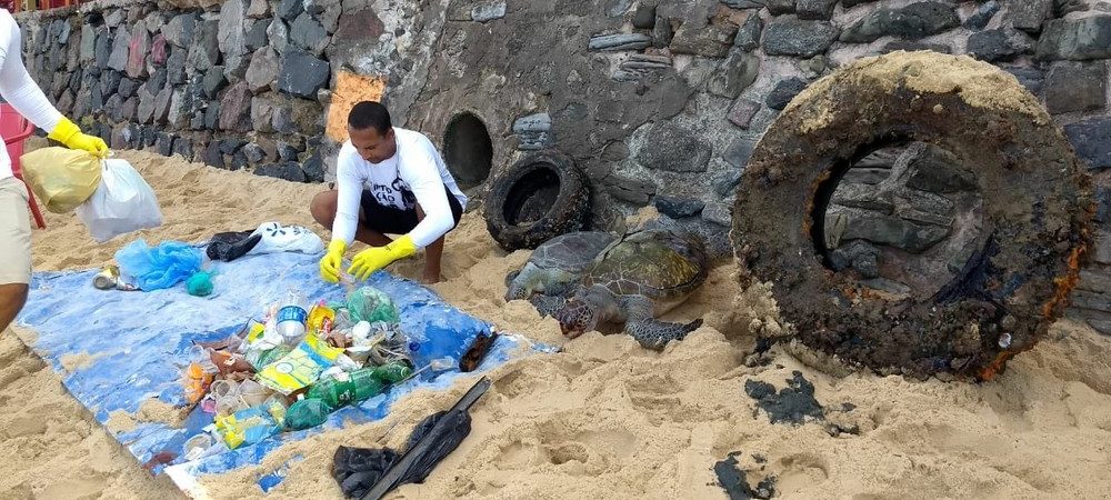 Duas tartarugas são encontradas mortas em praia de Salvador