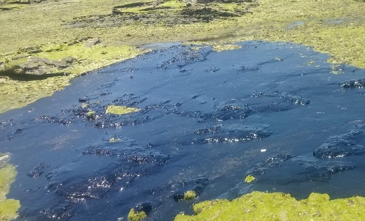 Vídeo: manchas de óleo chegam ao município de Vera Cruz