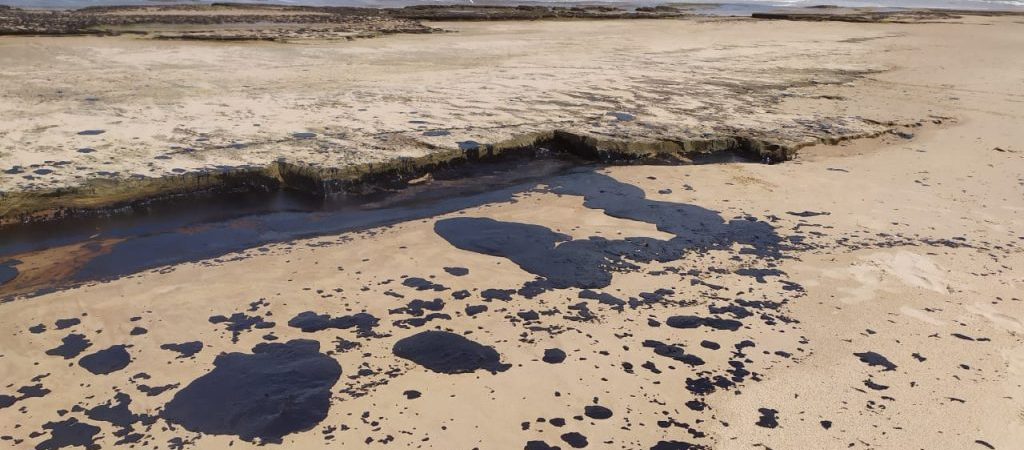 Manchas de óleo já são vistas em praias de Salvador