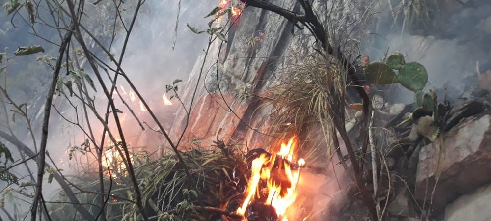 Área de vegetação na Chapada Diamantina é atingida por incêndio de grandes proporções