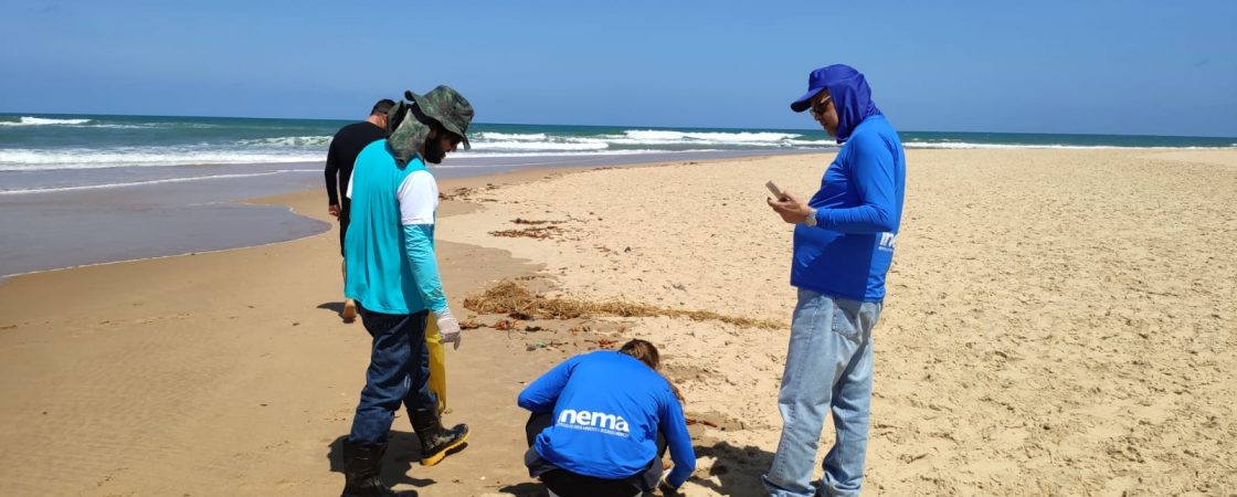 Inema estuda utilizar barreiras de contenção em estuários da Bahia