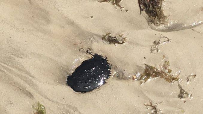 Novos fragmentos de óleo voltam a surgir em praia de Santa Cruz Cabrália, sul da Bahia