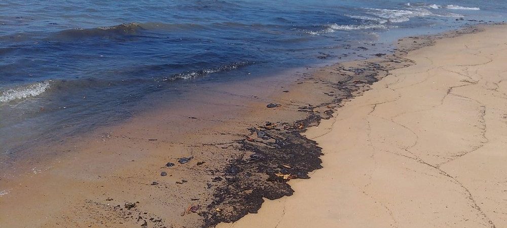 Fragmentos do óleo no litoral ainda contaminam três cidades baianas