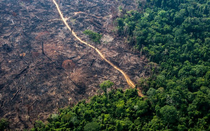 Amazônia: taxa de desmatamento pode ter aumentado em cerca de 26%