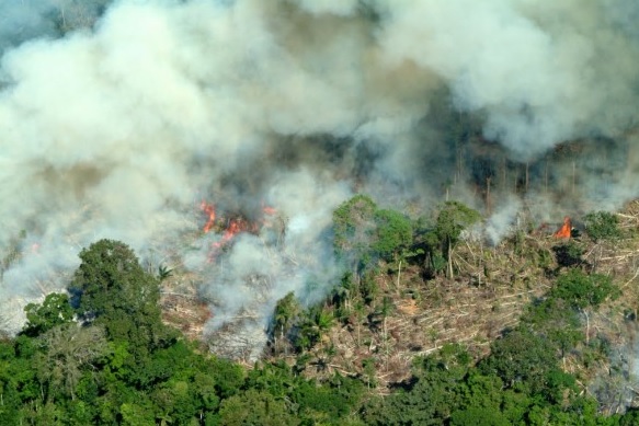 Em 2019, queimadas aumentam 86% no Brasil