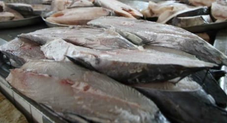 Após análises, laboratório do RJ diz que pescados de áreas atingidas por óleo no NE não apresentam riscos para o consumo humano
