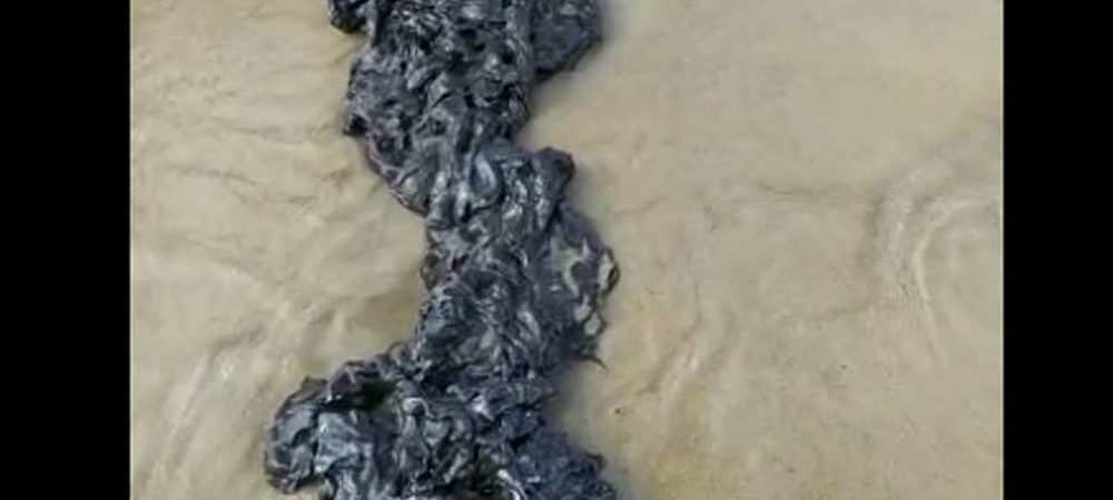 Fragmento de óleo é encontrado em praia de Belmonte, no extremo sul baiano