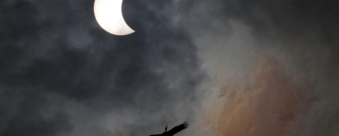 Eclipse solar é visto em partes da Ásia, África e Austrália nesta quinta (26)