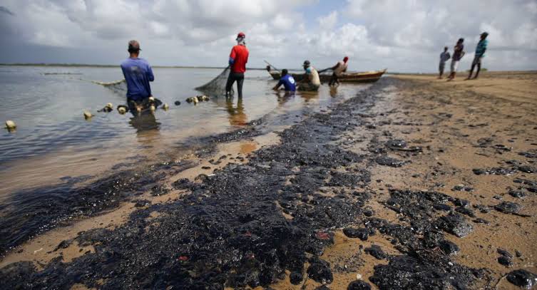 Auxílio destinado aos pescadores afetados por manchas de óleo é prorrogado