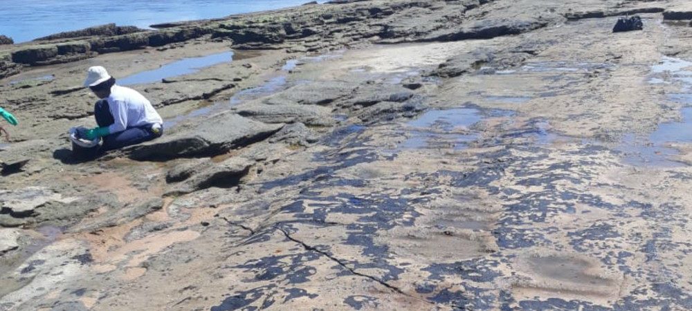 Novas manchas de óleo são removidas por voluntários na praia de Subaúma, em Entre Rios