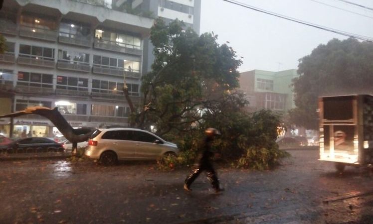Sobe para 12 o número de mortes causadas pelas chuvas em Minas Gerais