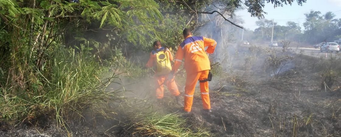 Camaçari: Defesa Civil alerta sobre perigo das queimadas