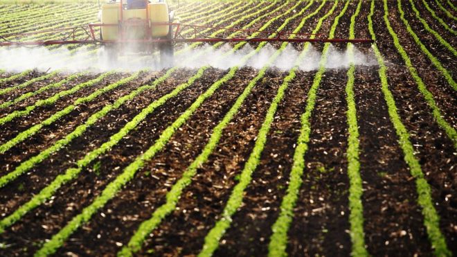 Julgamento do STF pode acabar com R$ 6 bilhões em subsídios para agrotóxicos