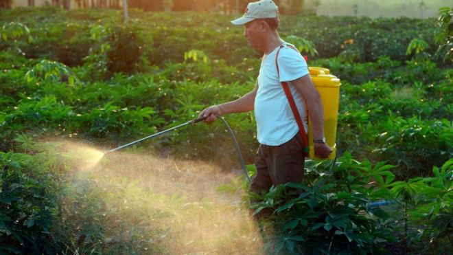 Brasil é o país que mais compra pesticidas no mundo, diz ONG
