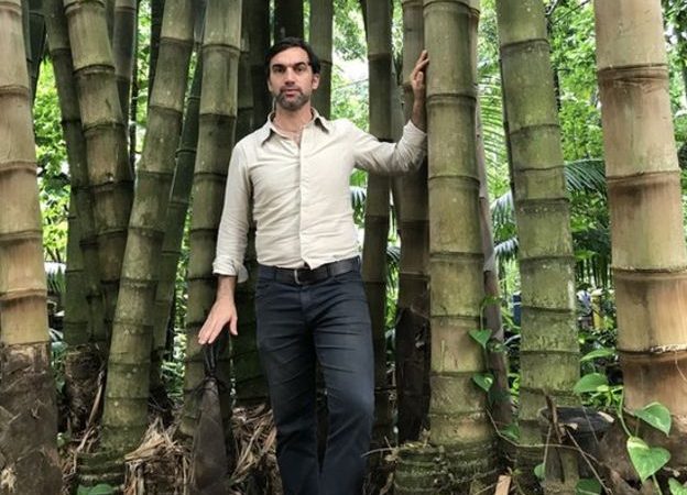 ‘Bambu elétrico’: cientistas brasileiros usam planta como substituta para fios e canos